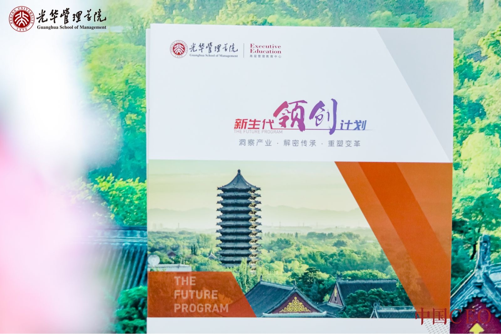 pg电子模拟器(中国游)官方网站