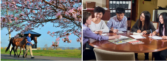 【招聘会】2016迪拜国际纯血马实习（DITI）