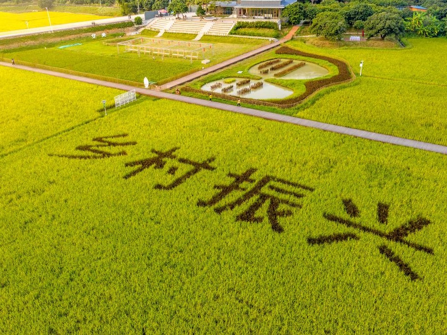 pg电子模拟器(中国游)官方网站
