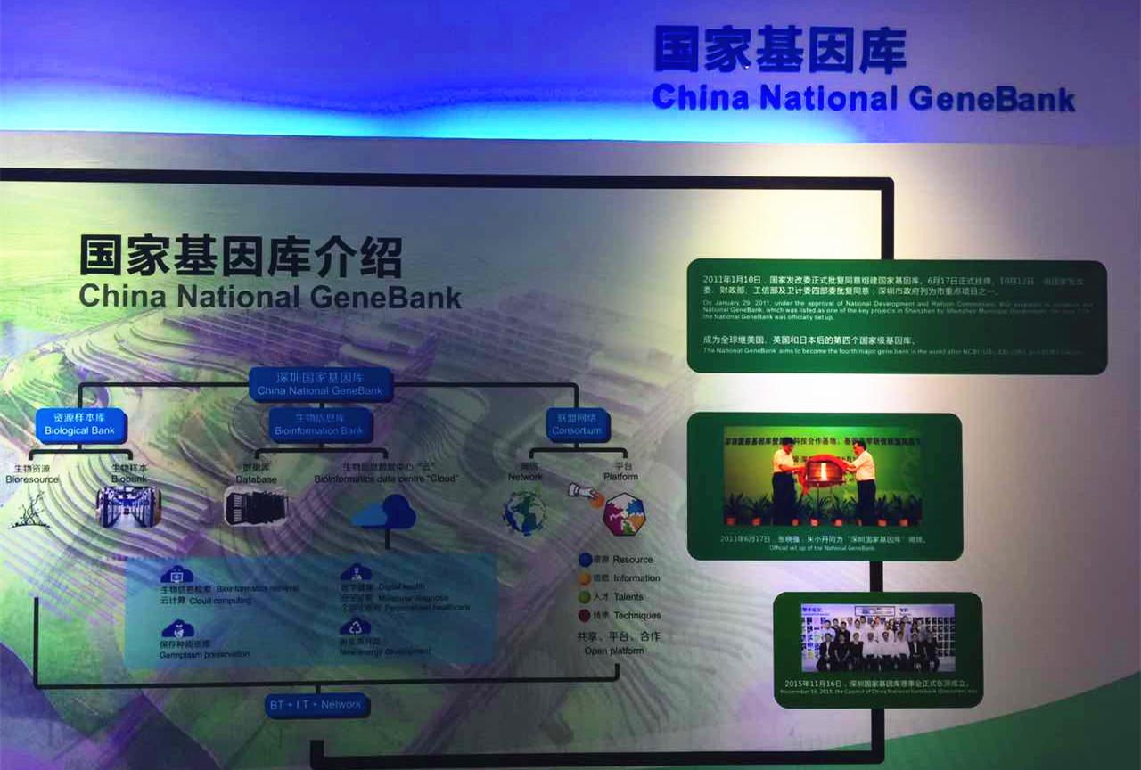 pg电子模拟器(中国游)官方网站