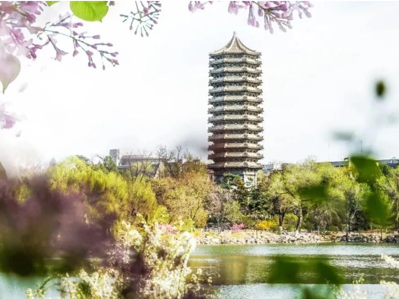 pg电子模拟器(中国游)官方网站