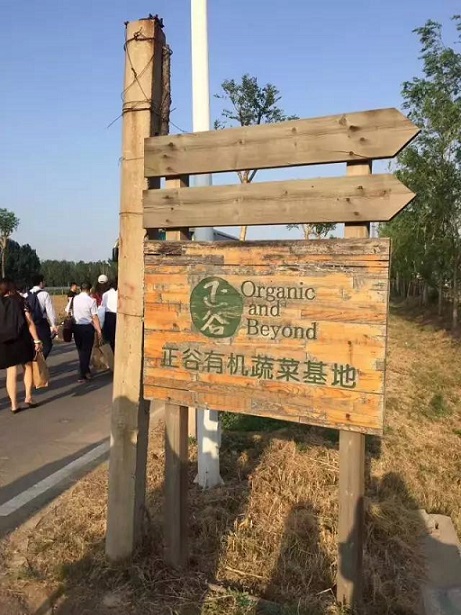 pg电子模拟器(中国游)官方网站