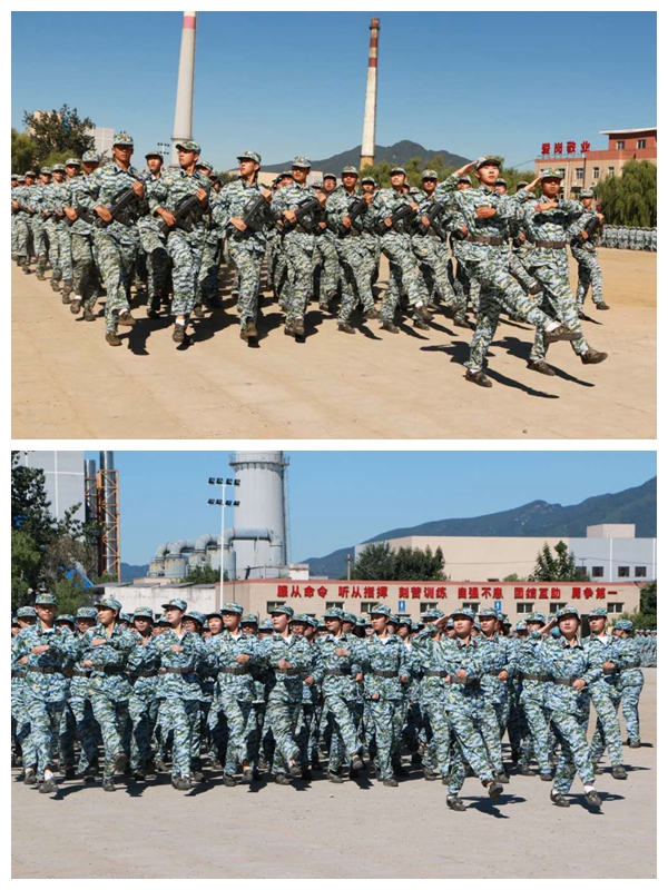 pg电子模拟器(中国游)官方网站