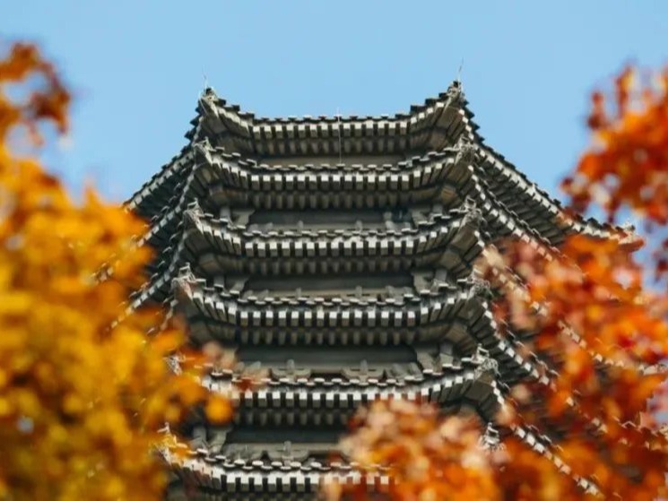 pg电子模拟器(中国游)官方网站