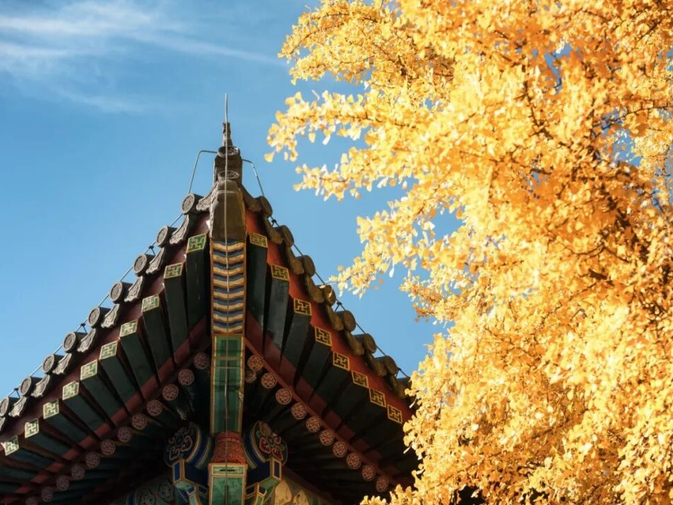 pg电子模拟器(中国游)官方网站