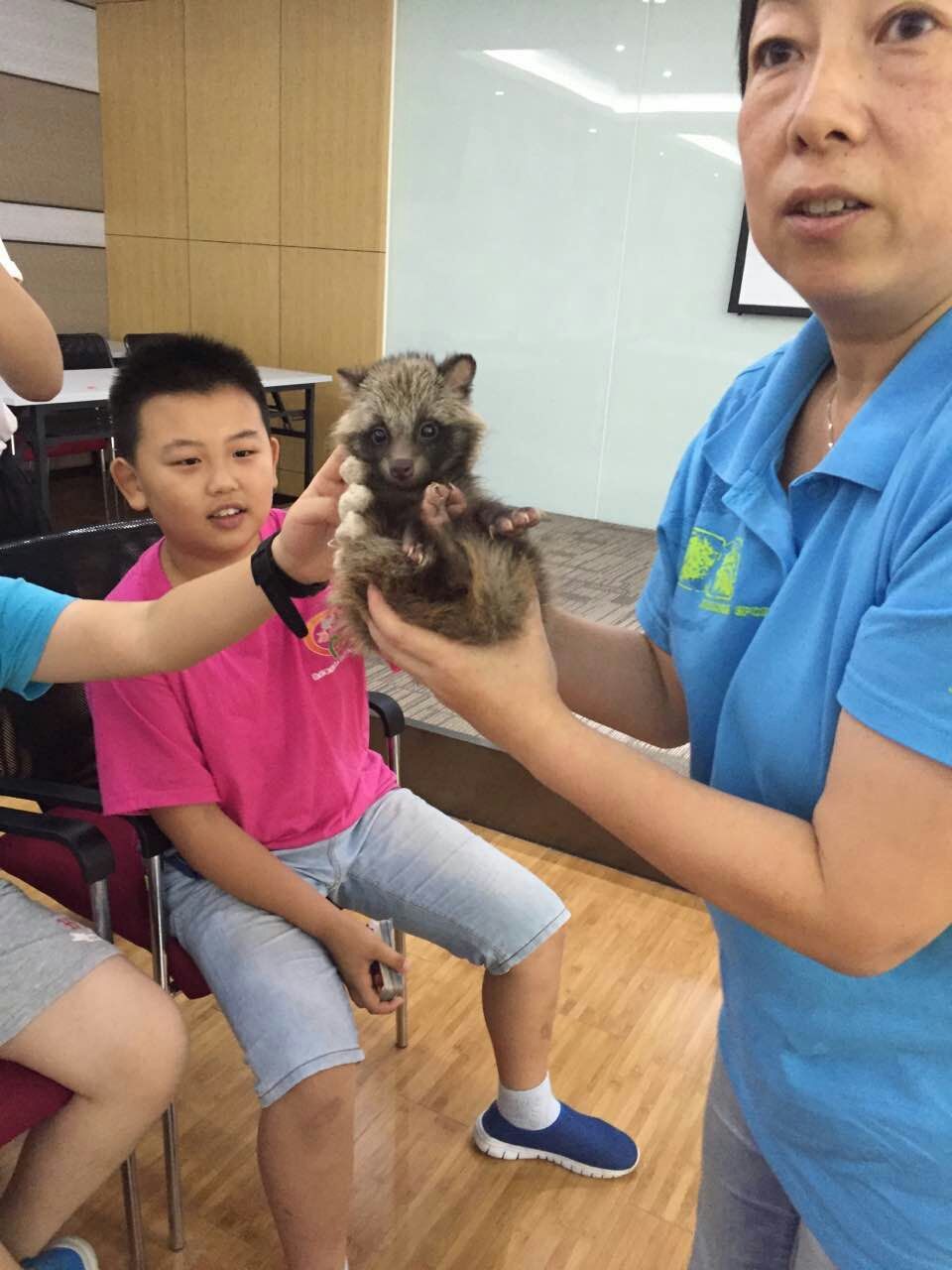 pg电子模拟器(中国游)官方网站