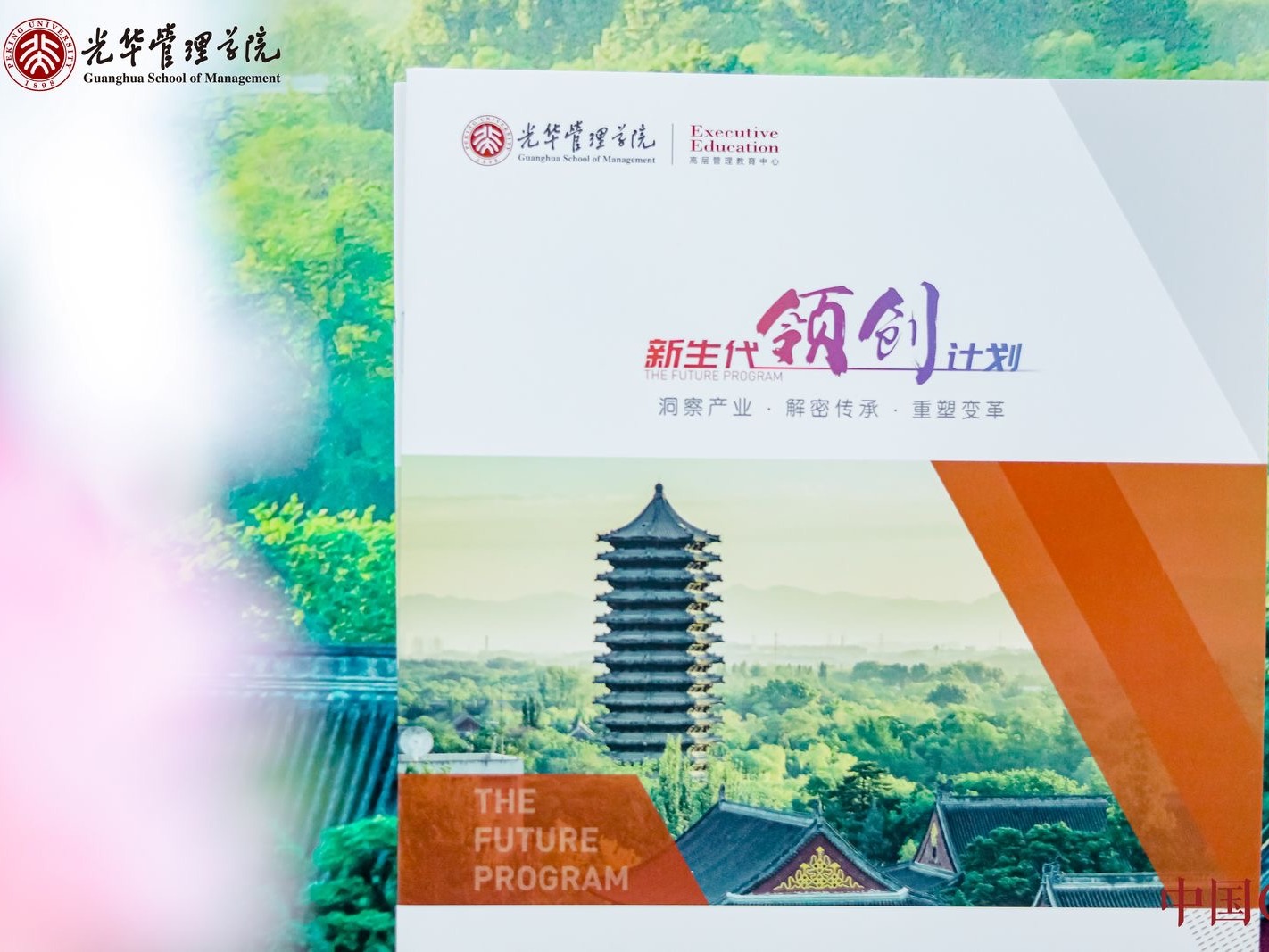 pg电子模拟器(中国游)官方网站