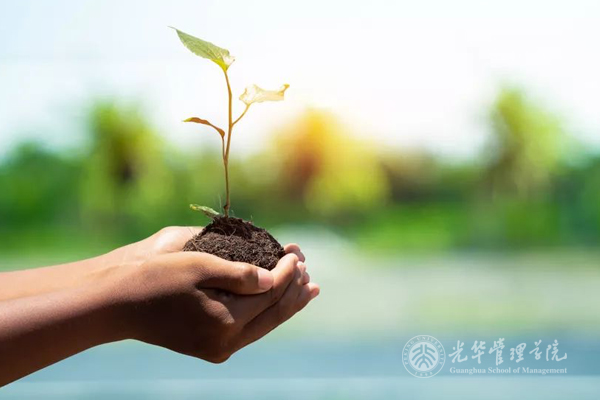 pg电子模拟器(中国游)官方网站
