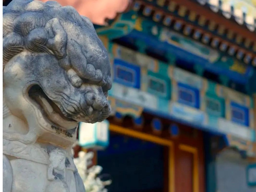 pg电子模拟器(中国游)官方网站