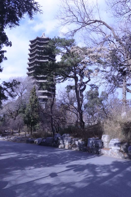 pg电子模拟器(中国游)官方网站