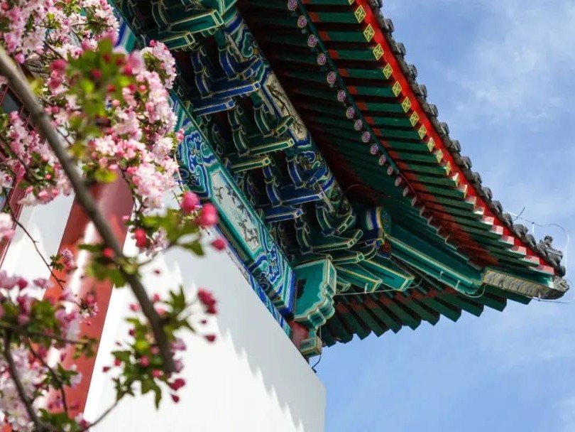 pg电子模拟器(中国游)官方网站