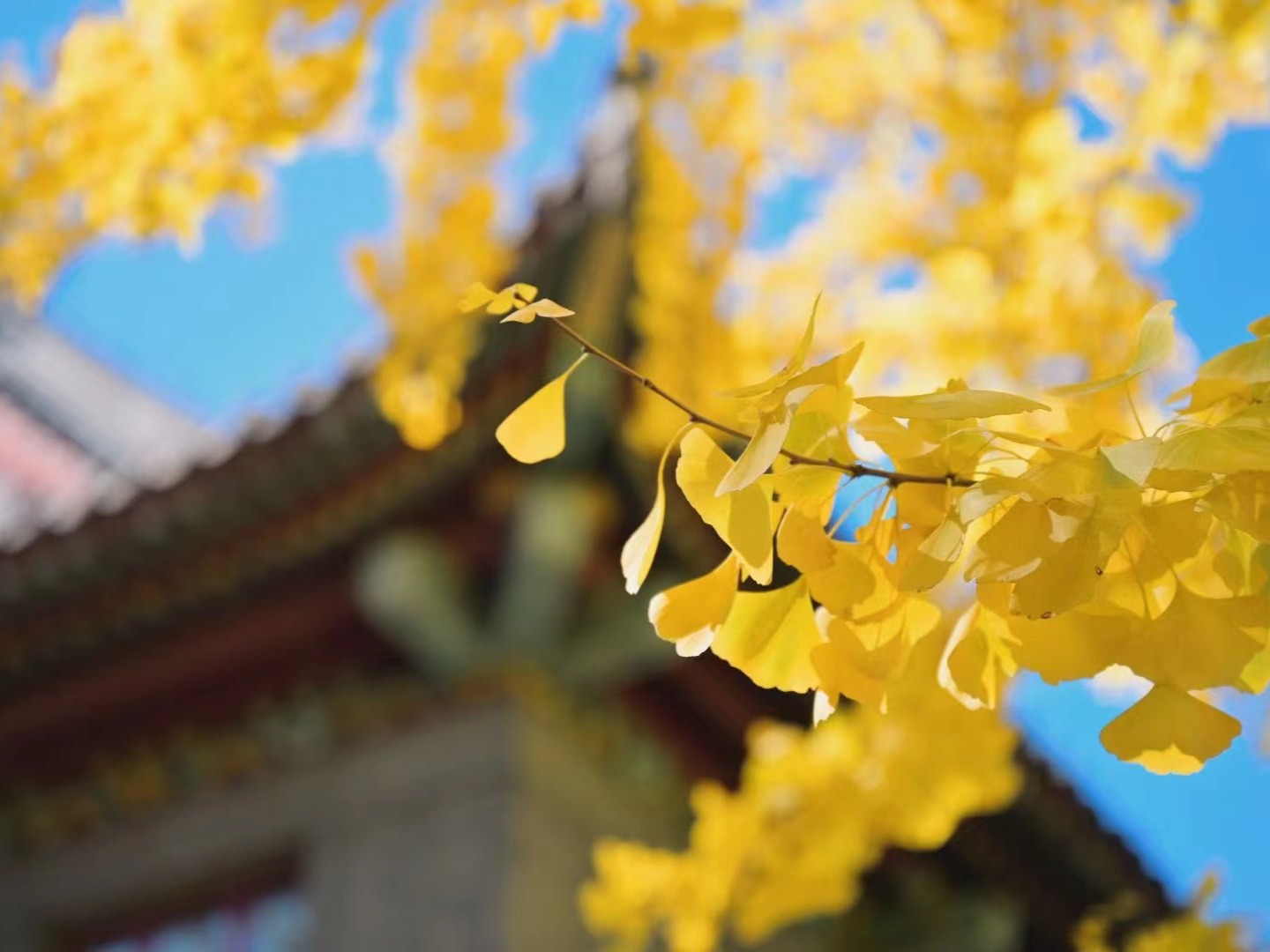 pg电子模拟器(中国游)官方网站