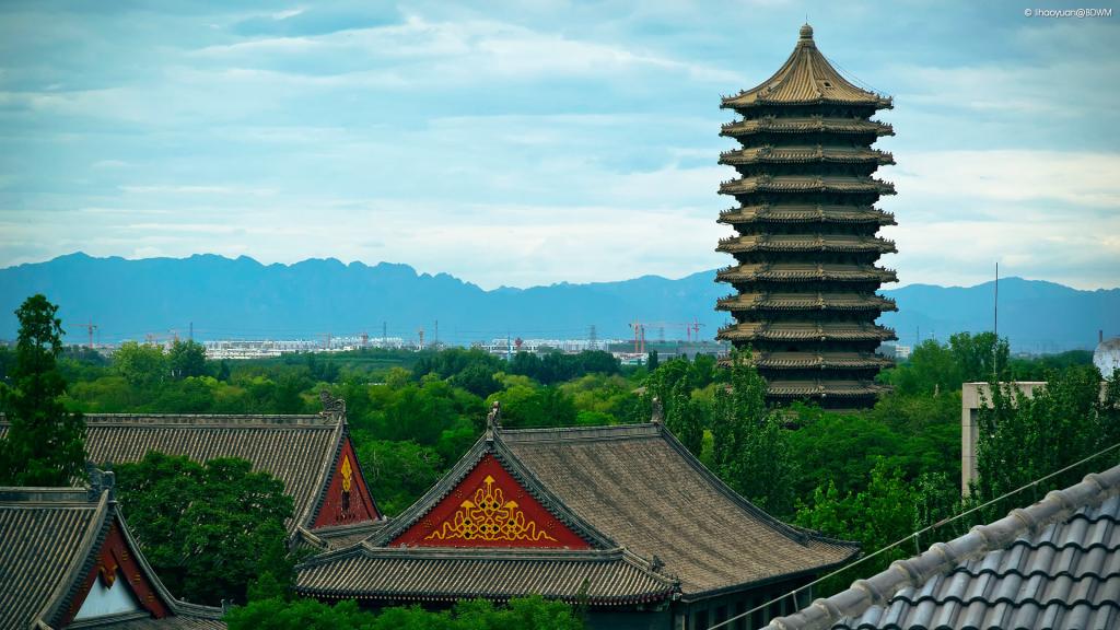 精彩回首 | 【头脑汇·行动派】职业分享会