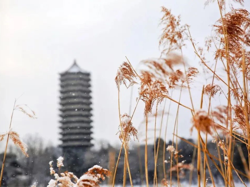pg电子模拟器(中国游)官方网站