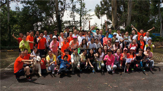 pg电子模拟器(中国游)官方网站