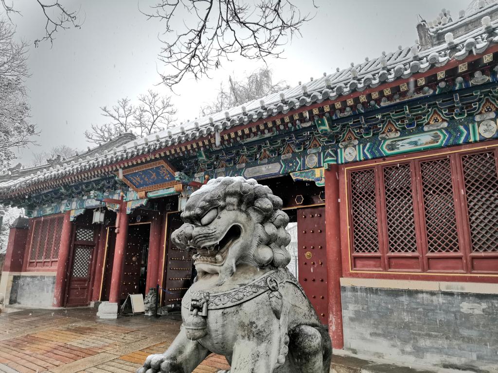  考研倒计时 | 预？？？？？佳欣殖桑 