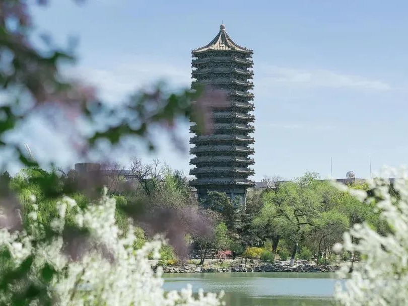 pg电子模拟器(中国游)官方网站