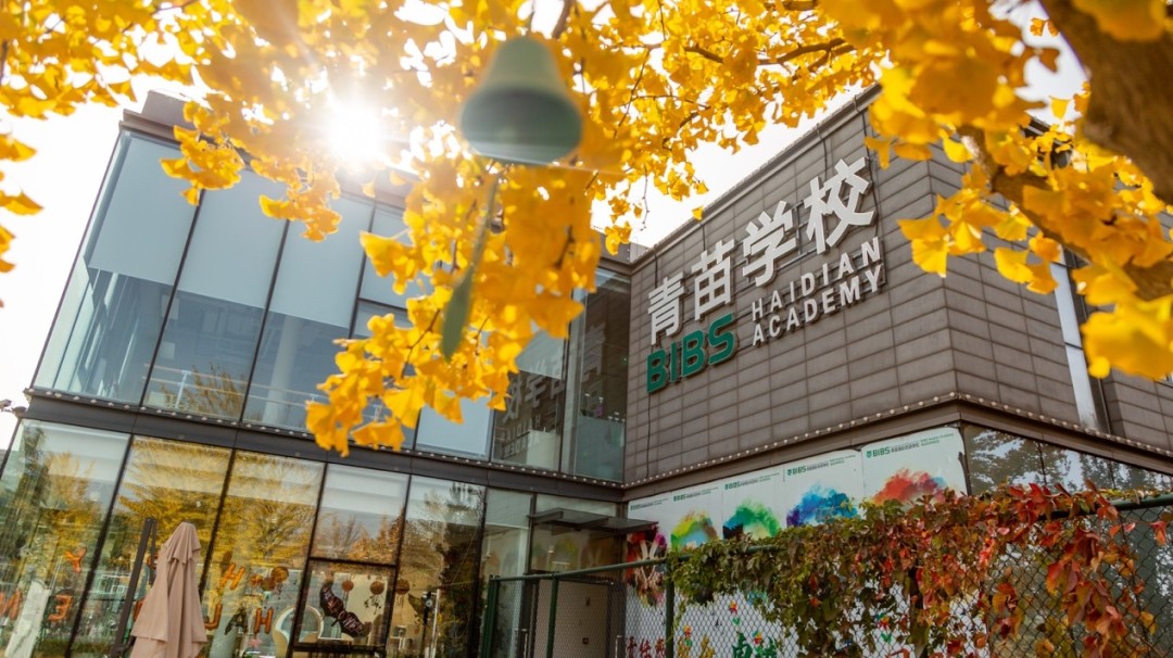 pg电子模拟器(中国游)官方网站