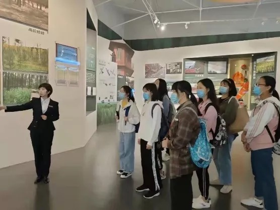 pg电子模拟器(中国游)官方网站