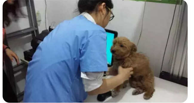 pg电子模拟器(中国游)官方网站