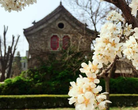 pg电子模拟器(中国游)官方网站
