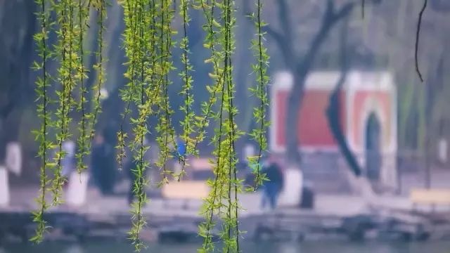 pg电子模拟器(中国游)官方网站