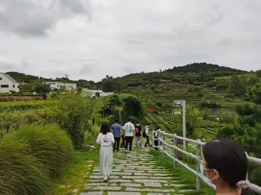 pg电子模拟器(中国游)官方网站